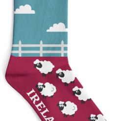 Sheep Fence