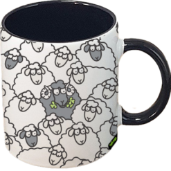 Sheep Paddock