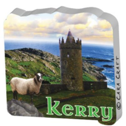 Kerry 3D Magnet